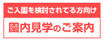 園見学のご案内